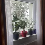 Apartmán Milada *